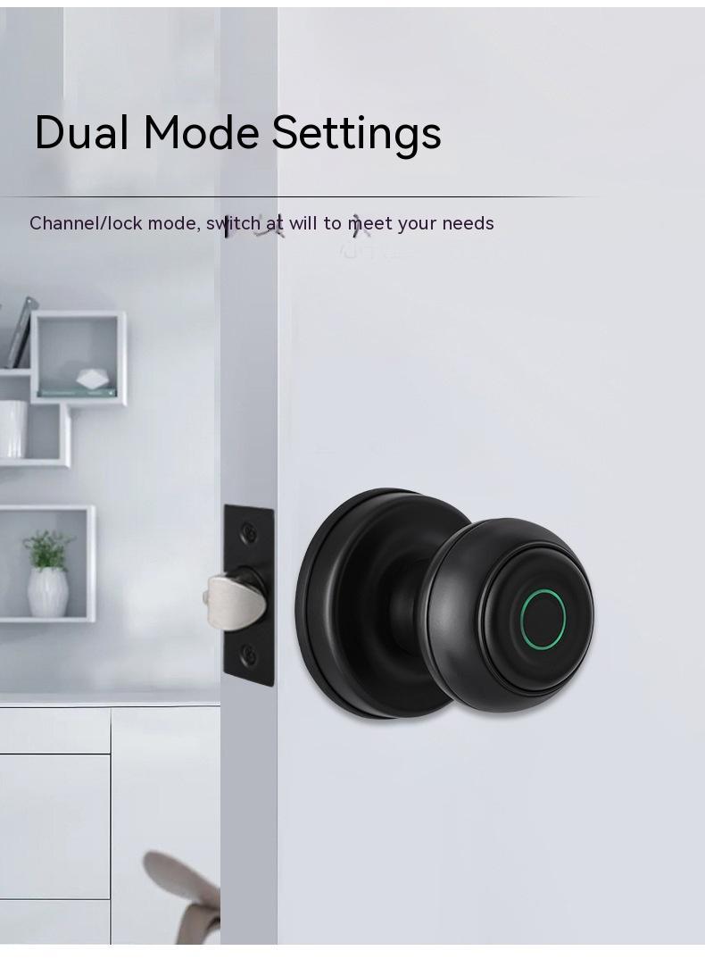 Smart Security Door Fingerprint Lock - The Underground