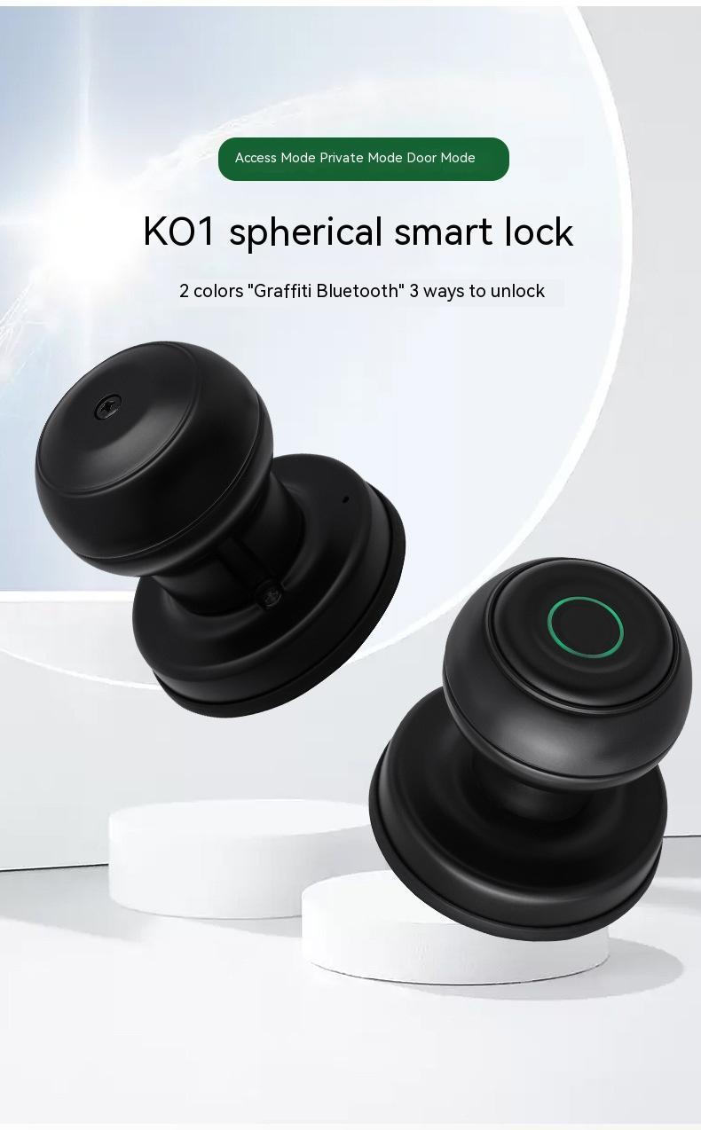 Smart Security Door Fingerprint Lock - The Underground